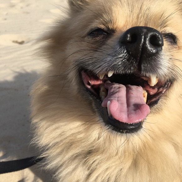 J E N N M I X L A :: Meet the Posher - Picture 3 of 8